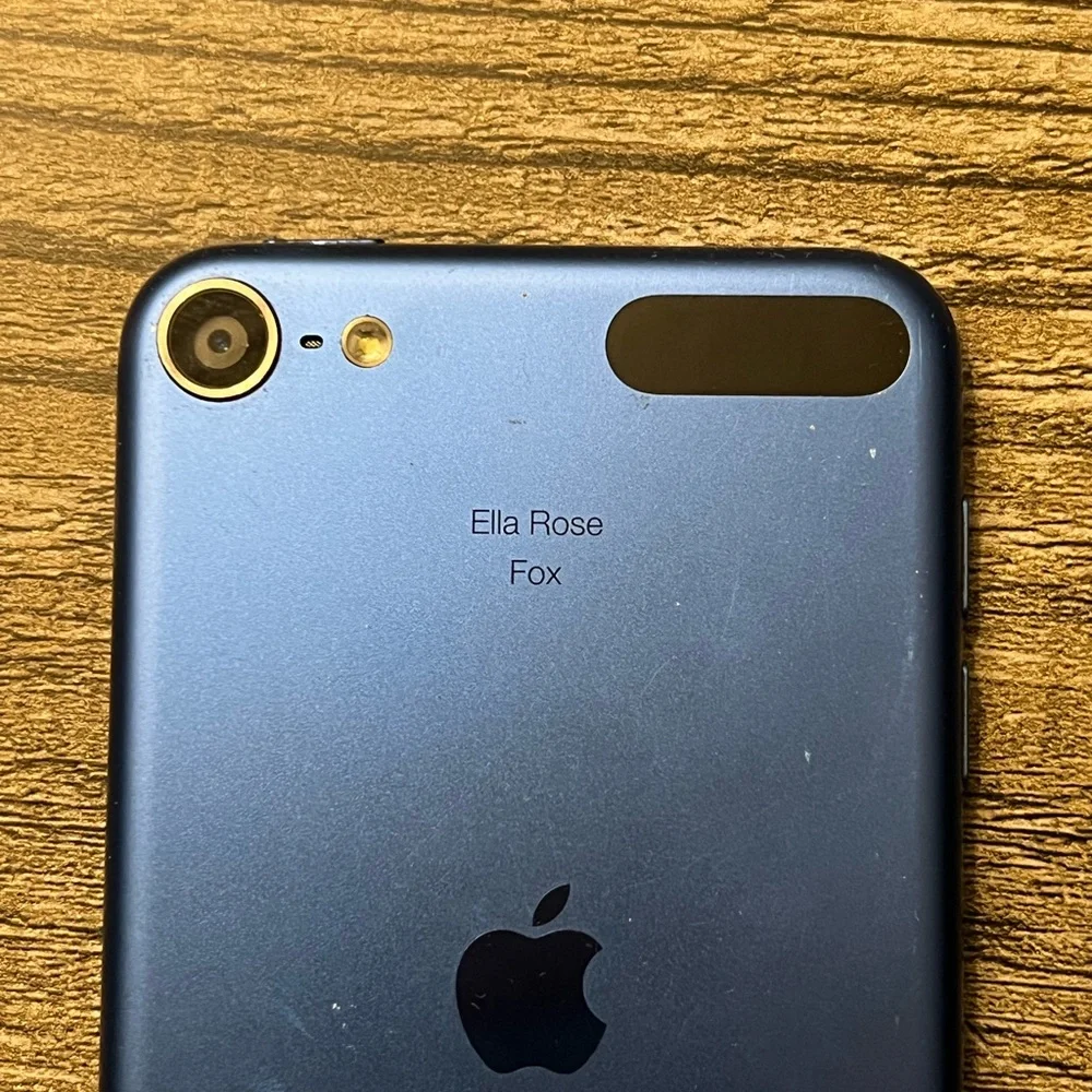 Apple classic ipod